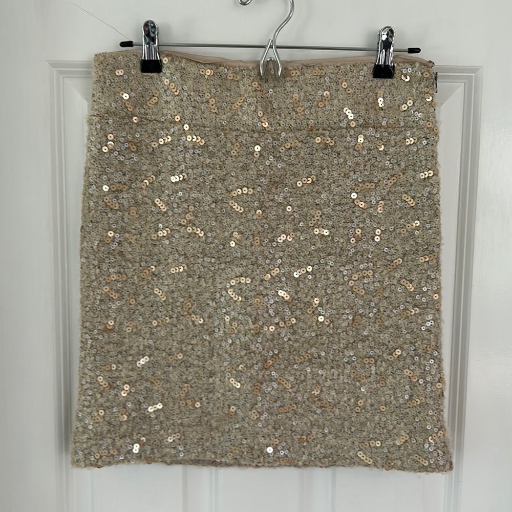 Banana Republic Pencil skirt